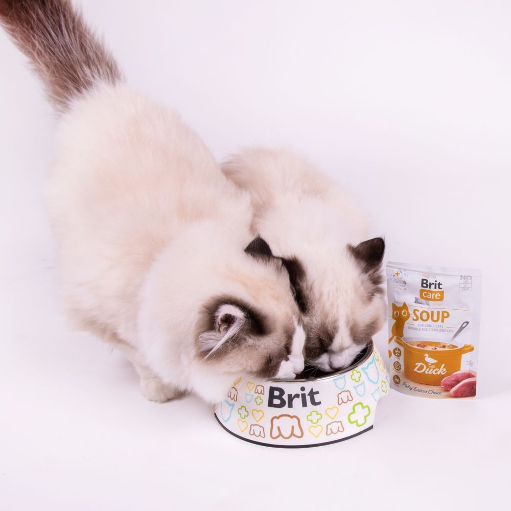 Brit Care Soup pouch влажный корм для кошек 75 г - утка