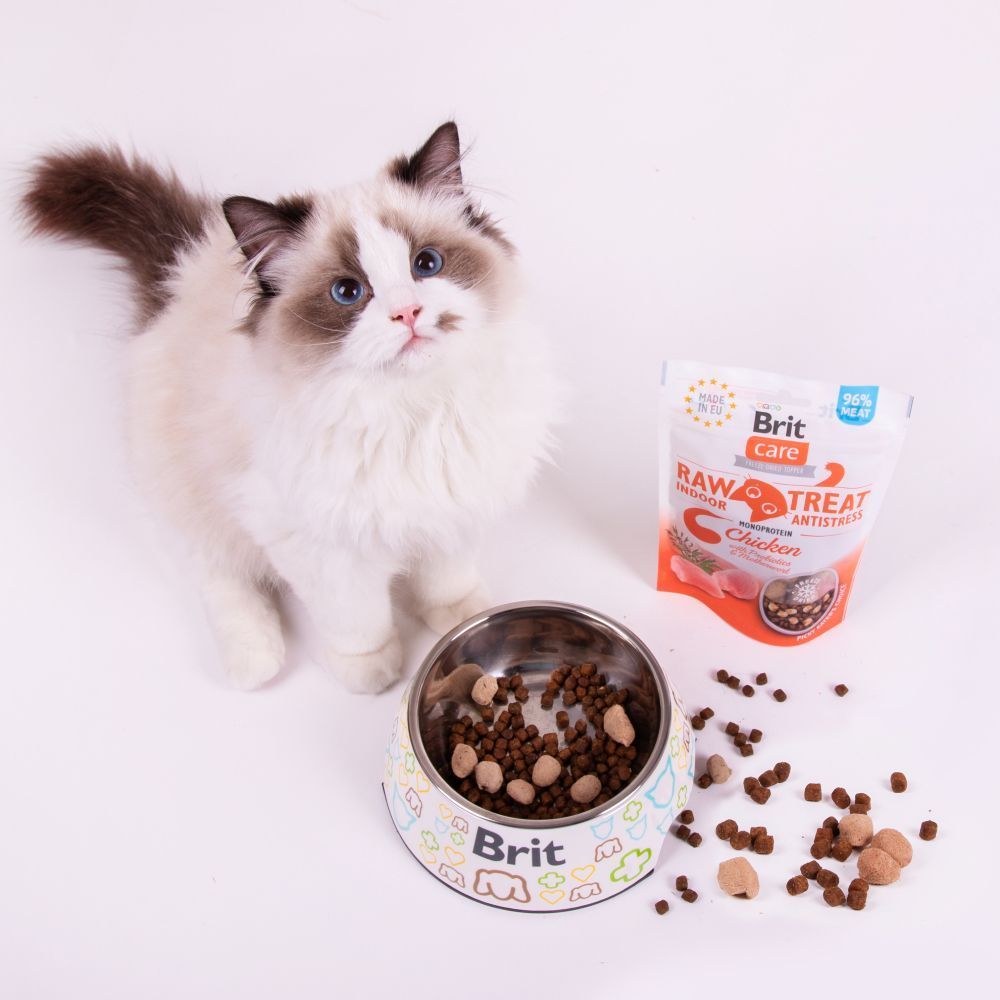 Ласощі для котів Brit Raw Treat Indoor & Antistress 40 г - курка Ласощі для котів Brit Raw Treat Indoor & Antistress 40 г - курка