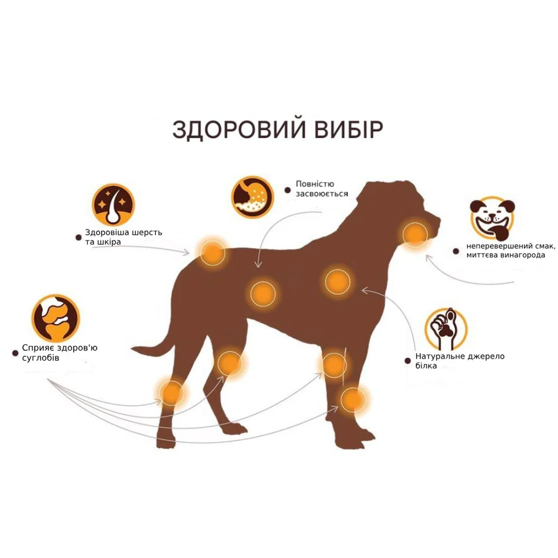 Ласощі з колагеном кісточка для собак Chewllagen 10 см 1 шт - яловичина