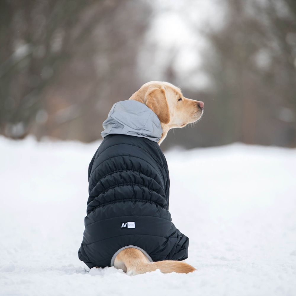 Collar AiryVest ONE комбінезон для собак XS-25