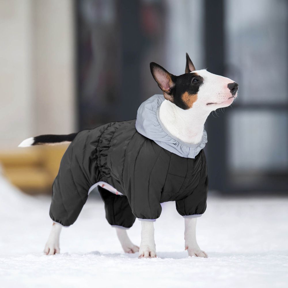 Collar AiryVest ONE комбінезон для собак XS-25