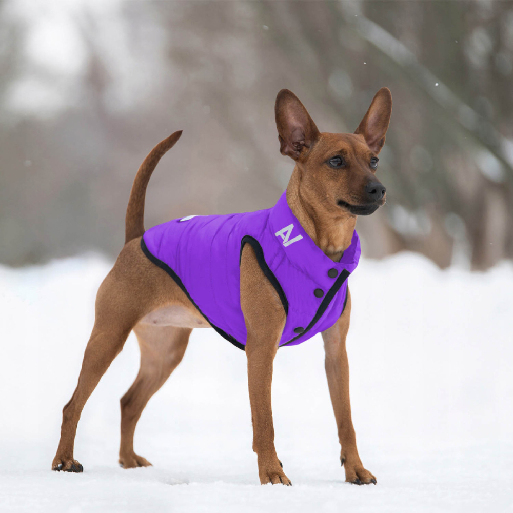 Collar AiryVest ONE куртка для собак L-65