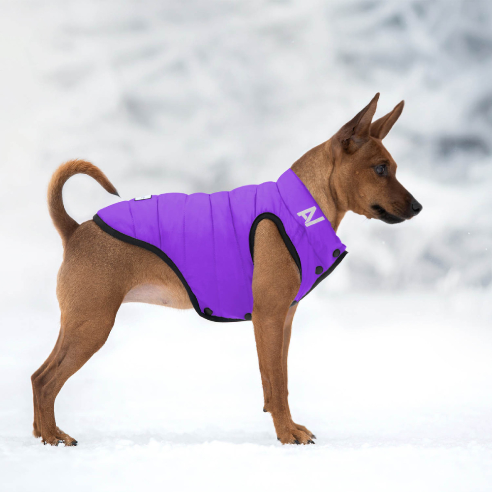 Collar AiryVest ONE куртка для собак L-65