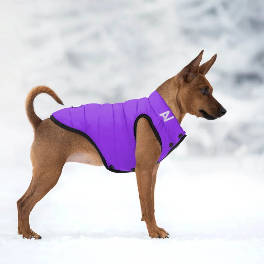Collar AiryVest ONE куртка для собак XS-22
