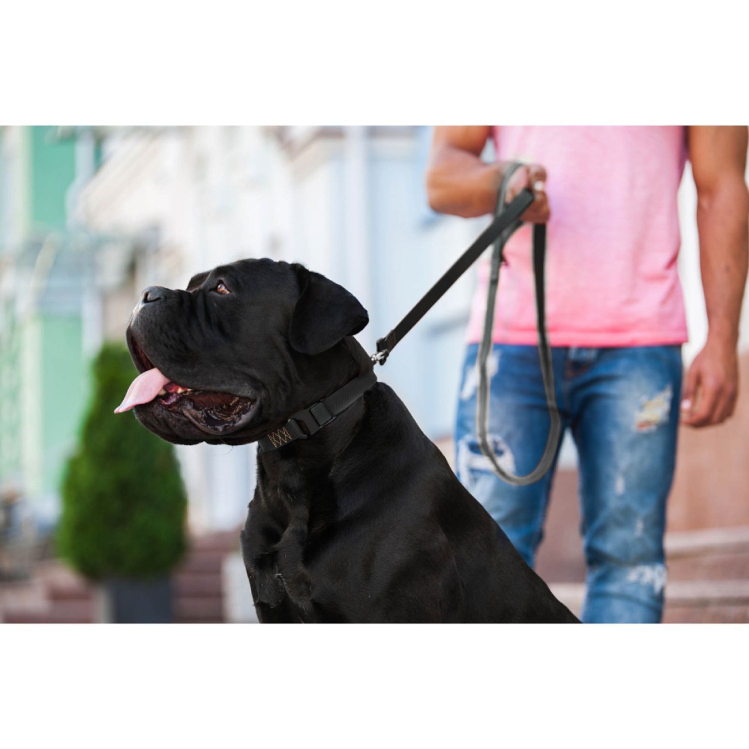 Collar Evolutor повідець для собак 3 м - чорний Collar Evolutor повідець для собак 3 м - чорний