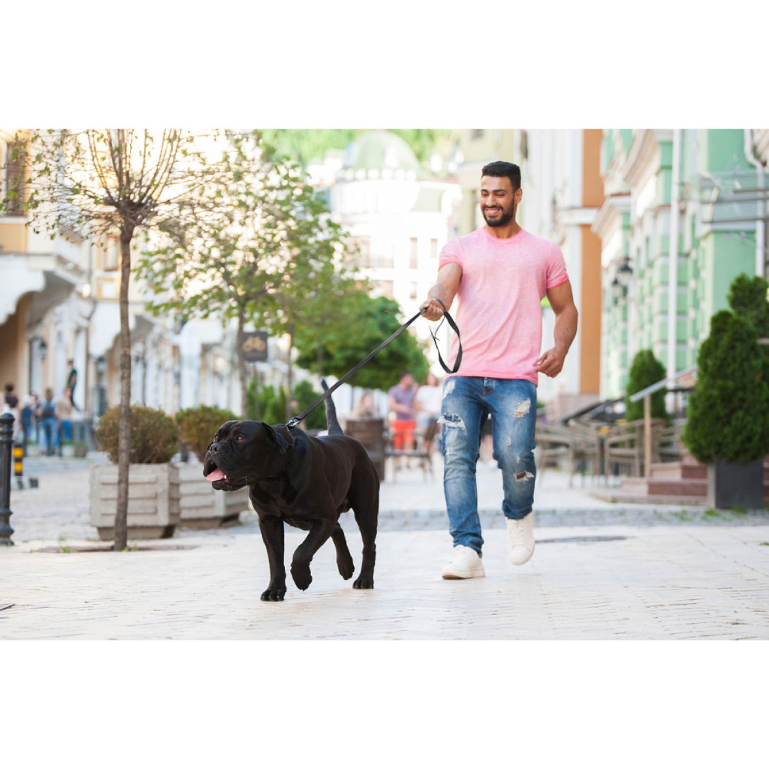 Collar Evolutor повідець для собак 3 м - чорний Collar Evolutor повідець для собак 3 м - чорний