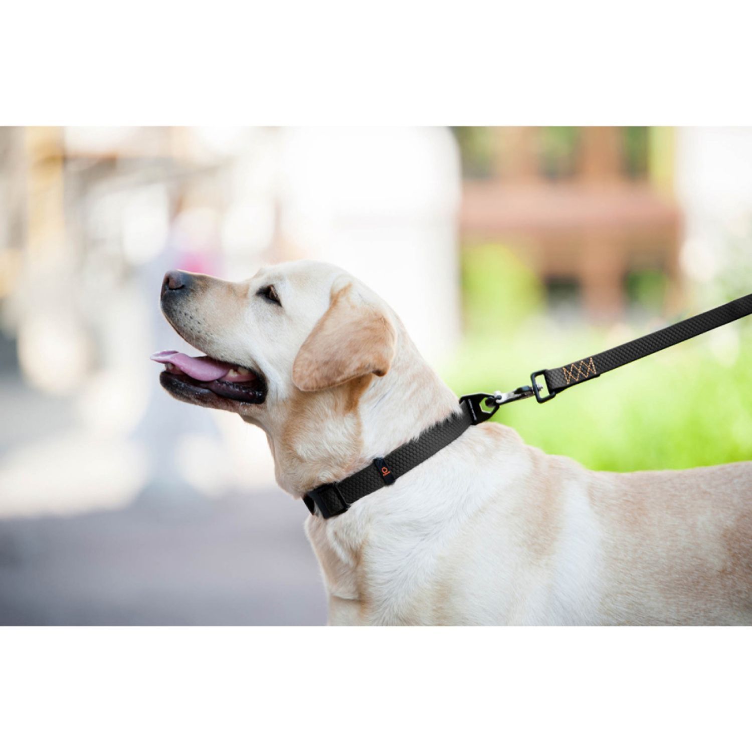 Collar Evolutor повідець для собак 3 м - чорний Collar Evolutor повідець для собак 3 м - чорний