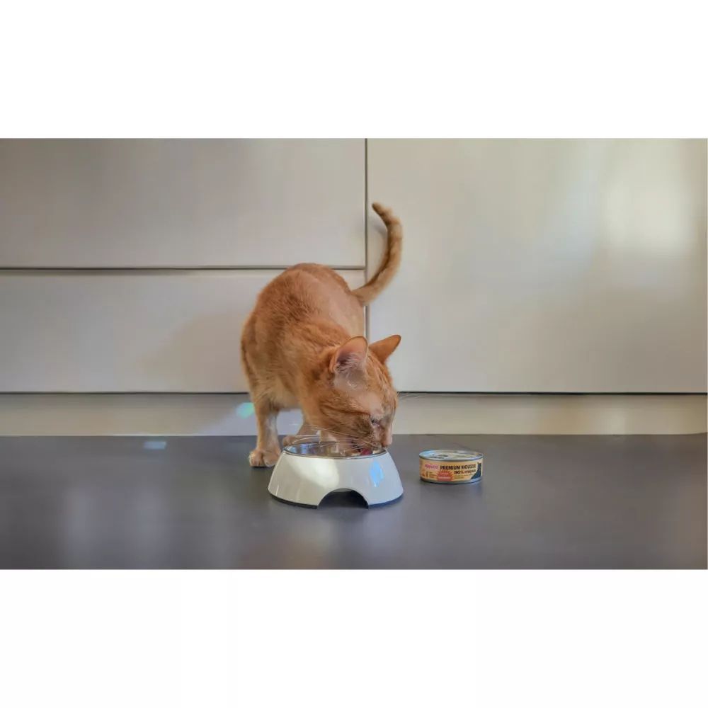 Вологий корм для котів Comfy Appetit Premium Mousse 85 г - індичка Вологий корм для котів Comfy Appetit Premium Mousse 85 г - індичка