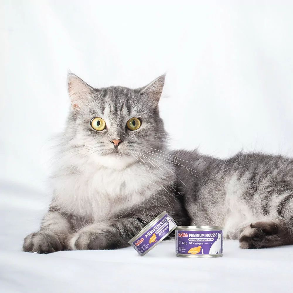Вологий корм для котів Comfy Appetit Premium Mousse 85 г - перепілка Вологий корм для котів Comfy Appetit Premium Mousse 85 г - перепілка