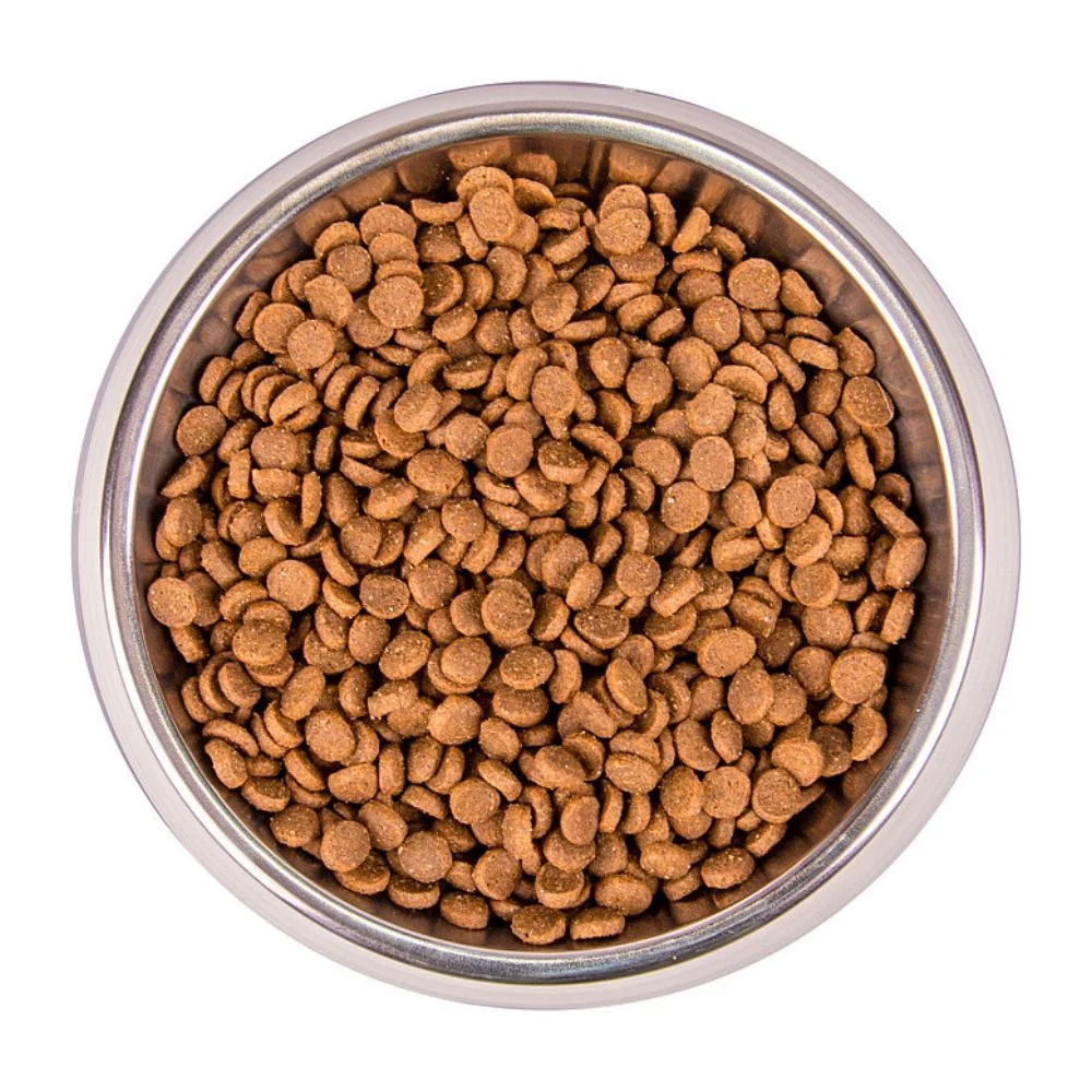 Сухий корм для кошенят Monge Monoprotein Kitten 400 г - форель Сухий корм для кошенят Monge Monoprotein Kitten 400 г - форель