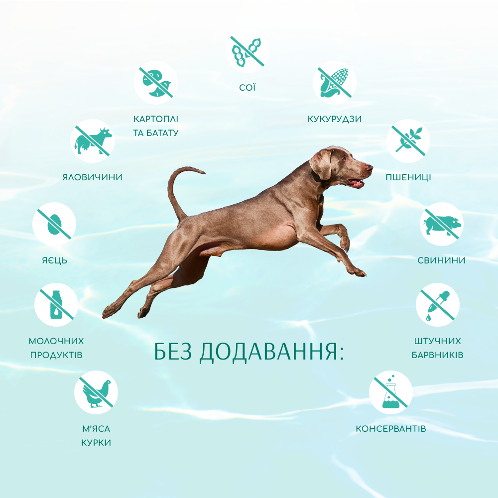 Сухий корм для собак Optimeal Beauty Fitness Healthy Weight & Joints 1,5 кг - морепродукти Сухий корм для собак Optimeal Beauty Fitness Healthy Weight & Joints 1,5 кг - морепродукти