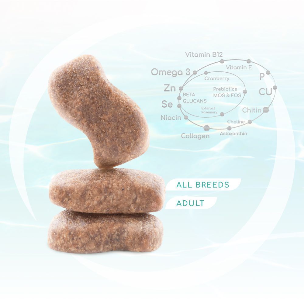 Сухий корм для собак Optimeal Beauty Fitness Healthy Weight & Joints 1,5 кг - морепродукти Сухий корм для собак Optimeal Beauty Fitness Healthy Weight & Joints 1,5 кг - морепродукти
