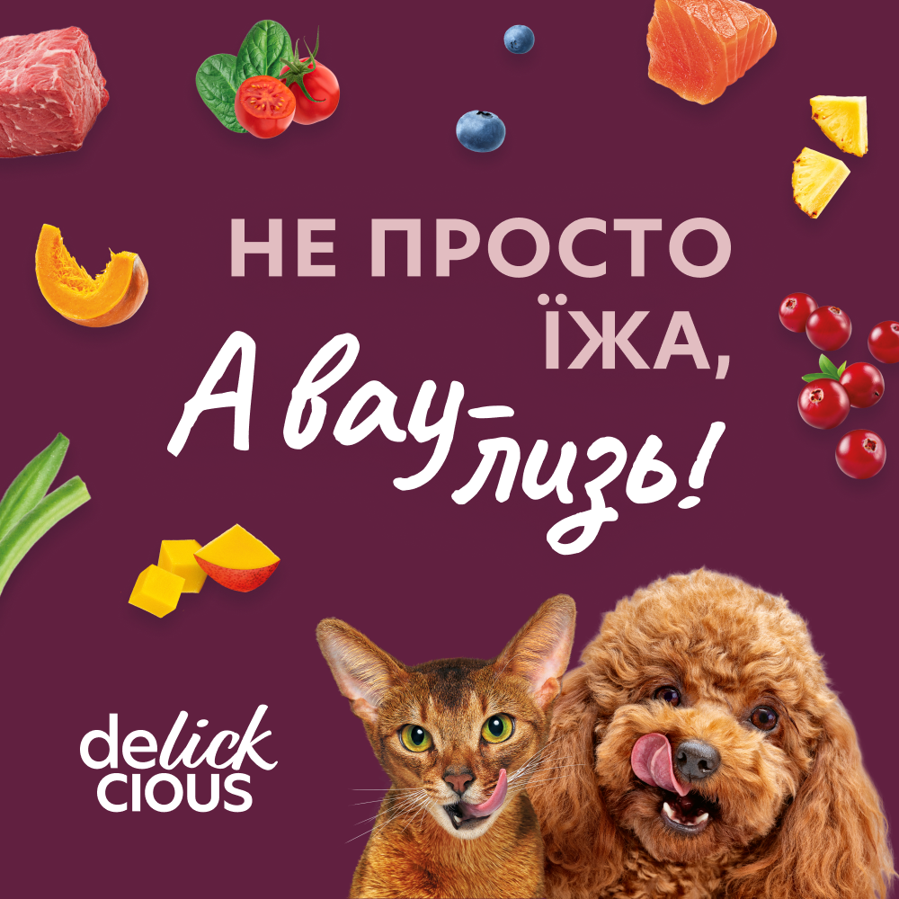 Ласощі для собак Delickcious Creamy Snack 60 г - качка та журавлина Ласощі для собак Delickcious Creamy Snack 60 г - качка та журавлина