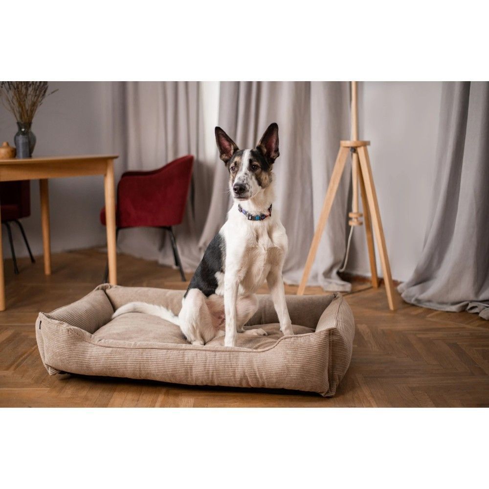 Лежак для собак Harley and Cho Dreamer Cacao Velvet S 60 х 45 см Лежак для собак Harley and Cho Dreamer Cacao Velvet S 60 х 45 см
