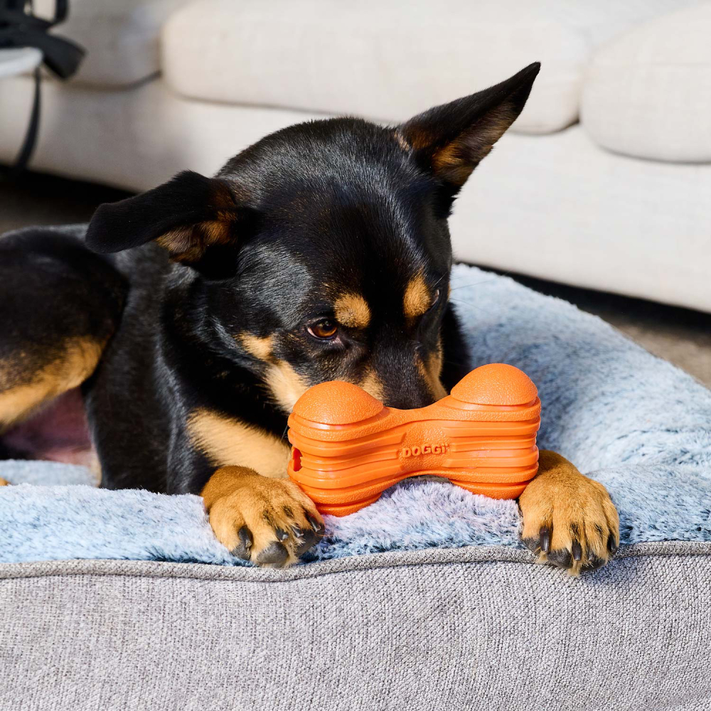 Doggi Catch & Carry Ribbed Bone іграшка для собак 14 х 8 х 4,8 см - помаранчевий Doggi Catch & Carry Ribbed Bone іграшка для собак 14 х 8 х 4,8 см - помаранчевий