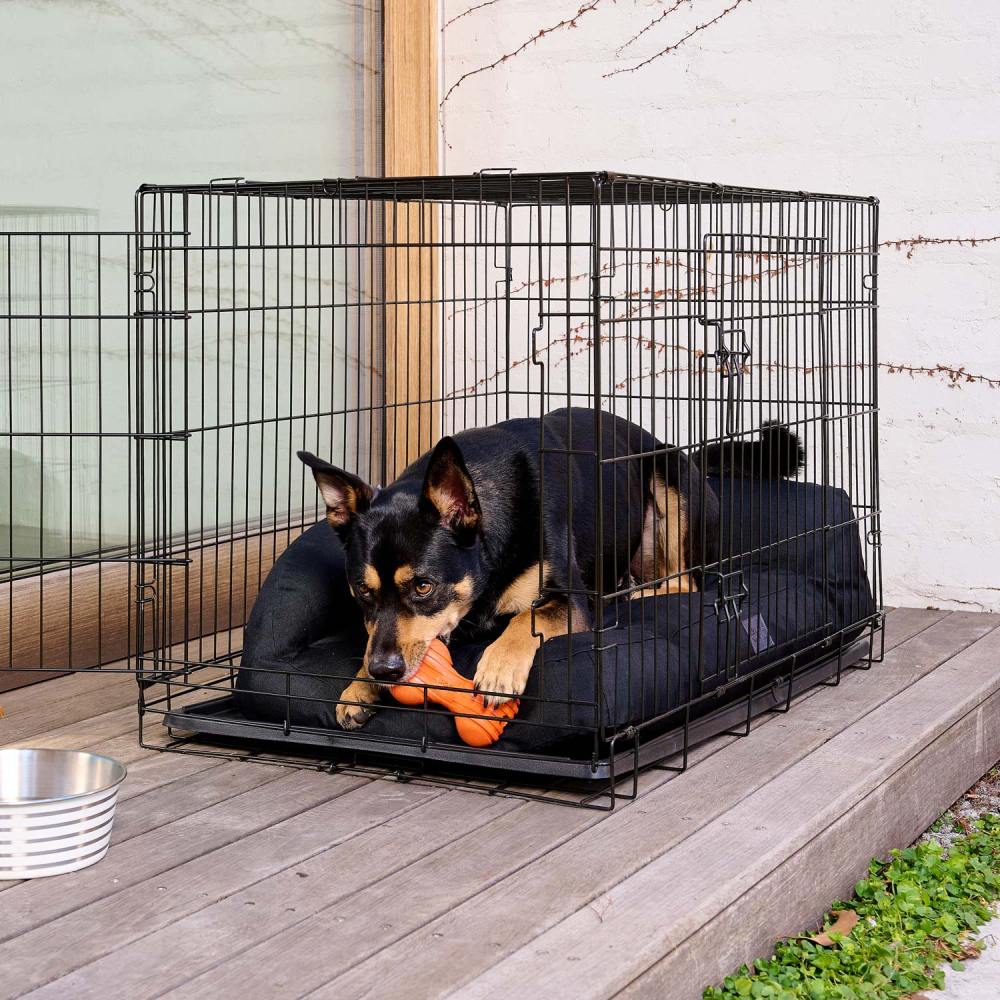 Doggi Catch & Carry Ribbed Bone іграшка для собак 14 х 8 х 4,8 см - помаранчевий Doggi Catch & Carry Ribbed Bone іграшка для собак 14 х 8 х 4,8 см - помаранчевий