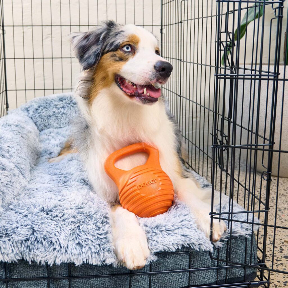 Doggi Catch & Carry Dumbbell іграшка для собак S - помаранчевий