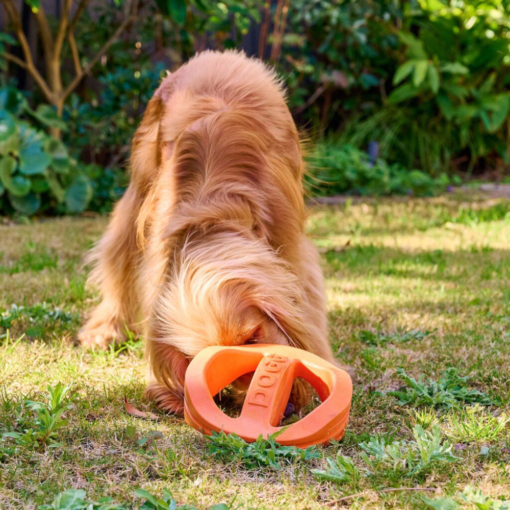 Doggi Fly & Float Frisbee игрушка для собак S - оранжевый