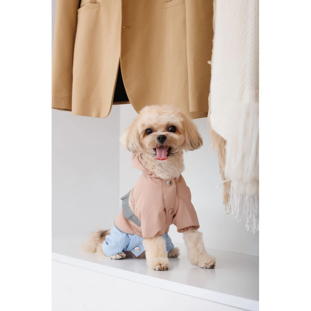 Дощовик для собак Pet Fashion Tina XS Дощовик для собак Pet Fashion Tina XS
