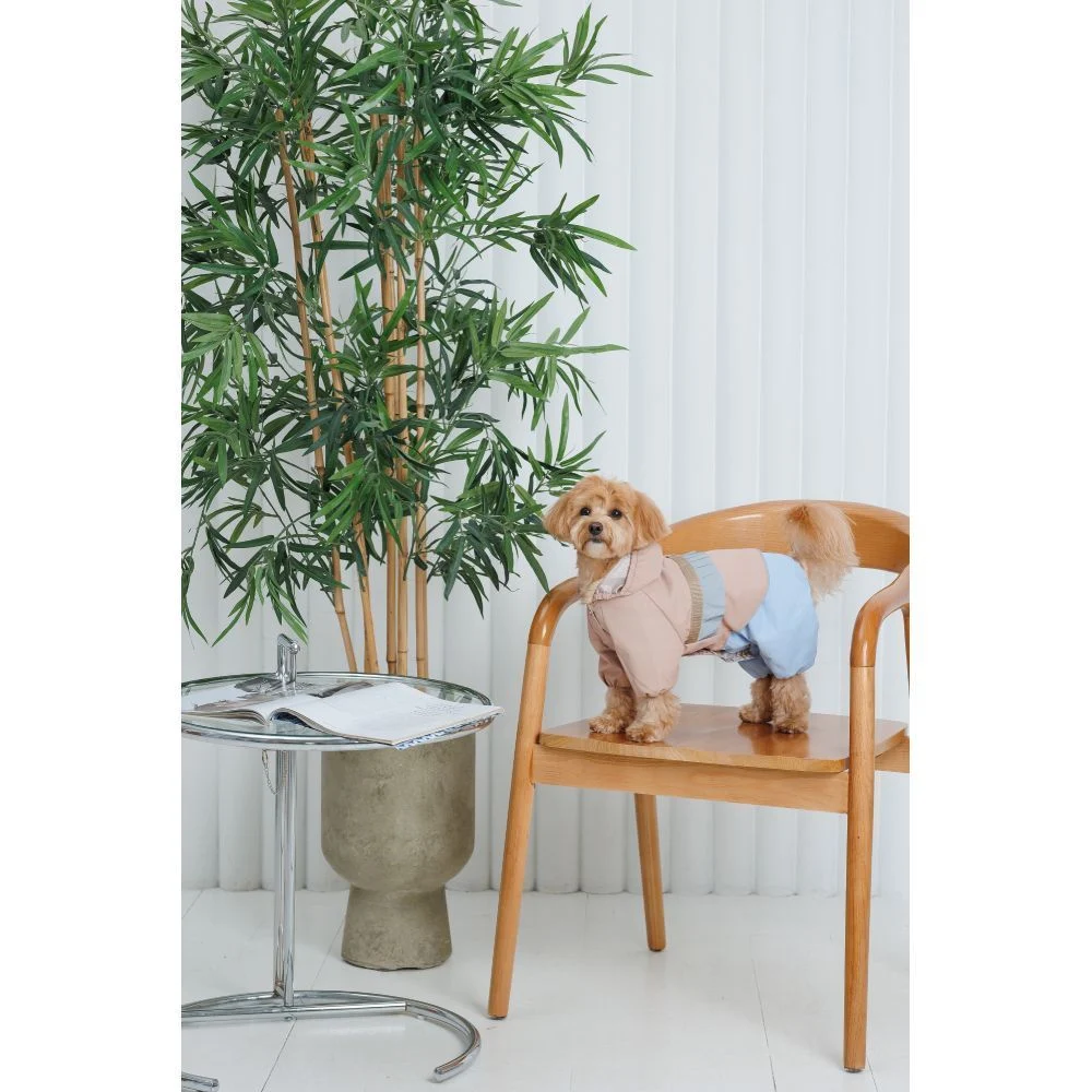 Дощовик для собак Pet Fashion Tina XS Дощовик для собак Pet Fashion Tina XS