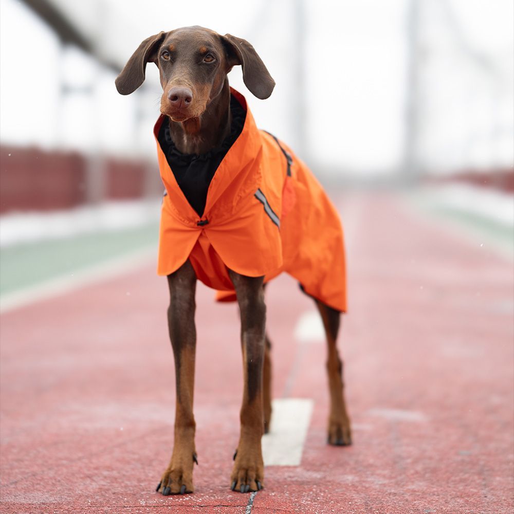 Дощовик для собак Noble Pet Rio 6XL