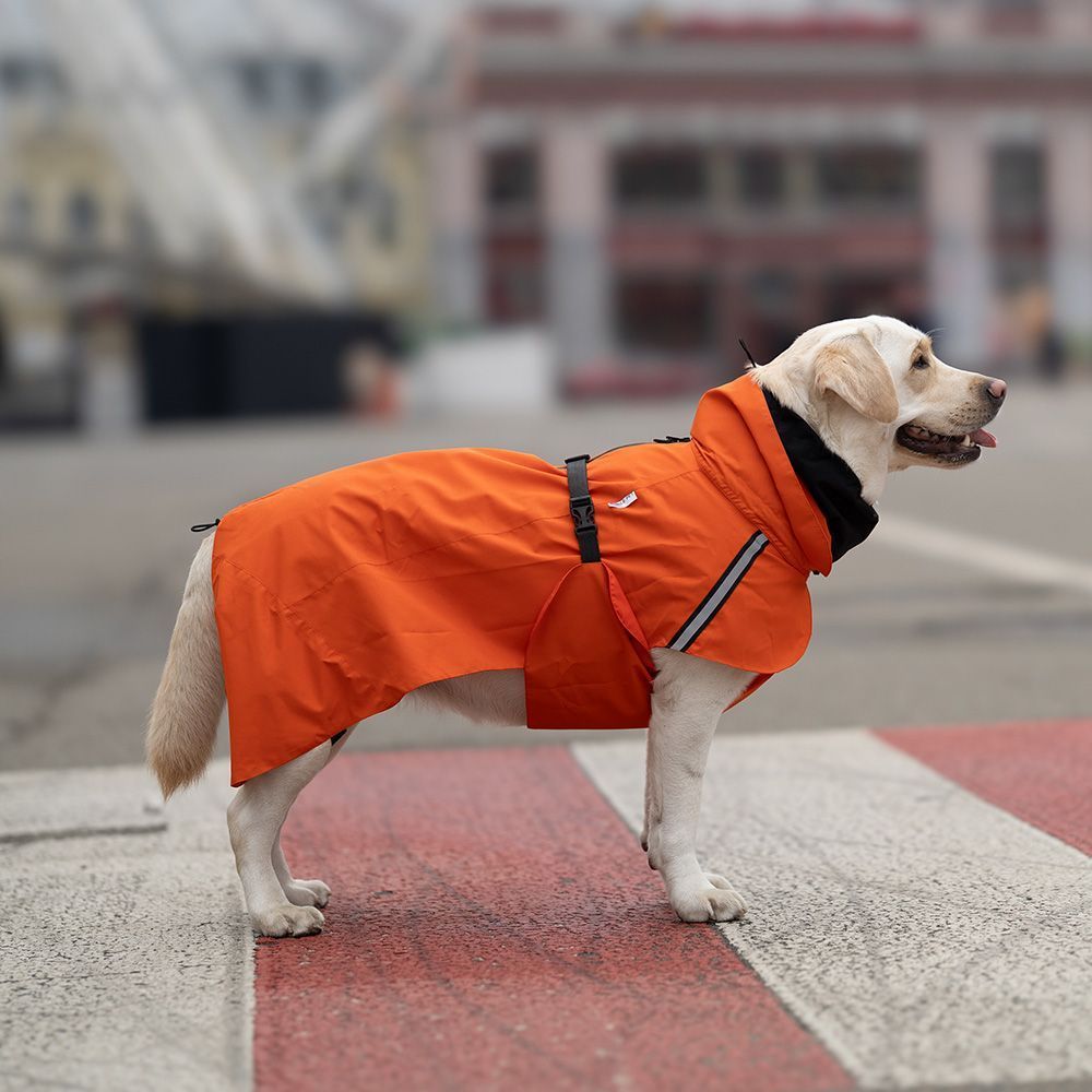 Дощовик для собак Noble Pet Rio 6XL