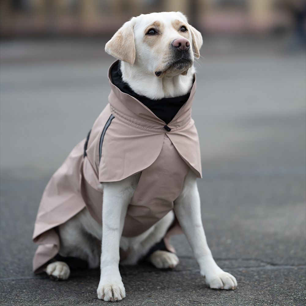 Noble Pet Rio дощовик для собак L
