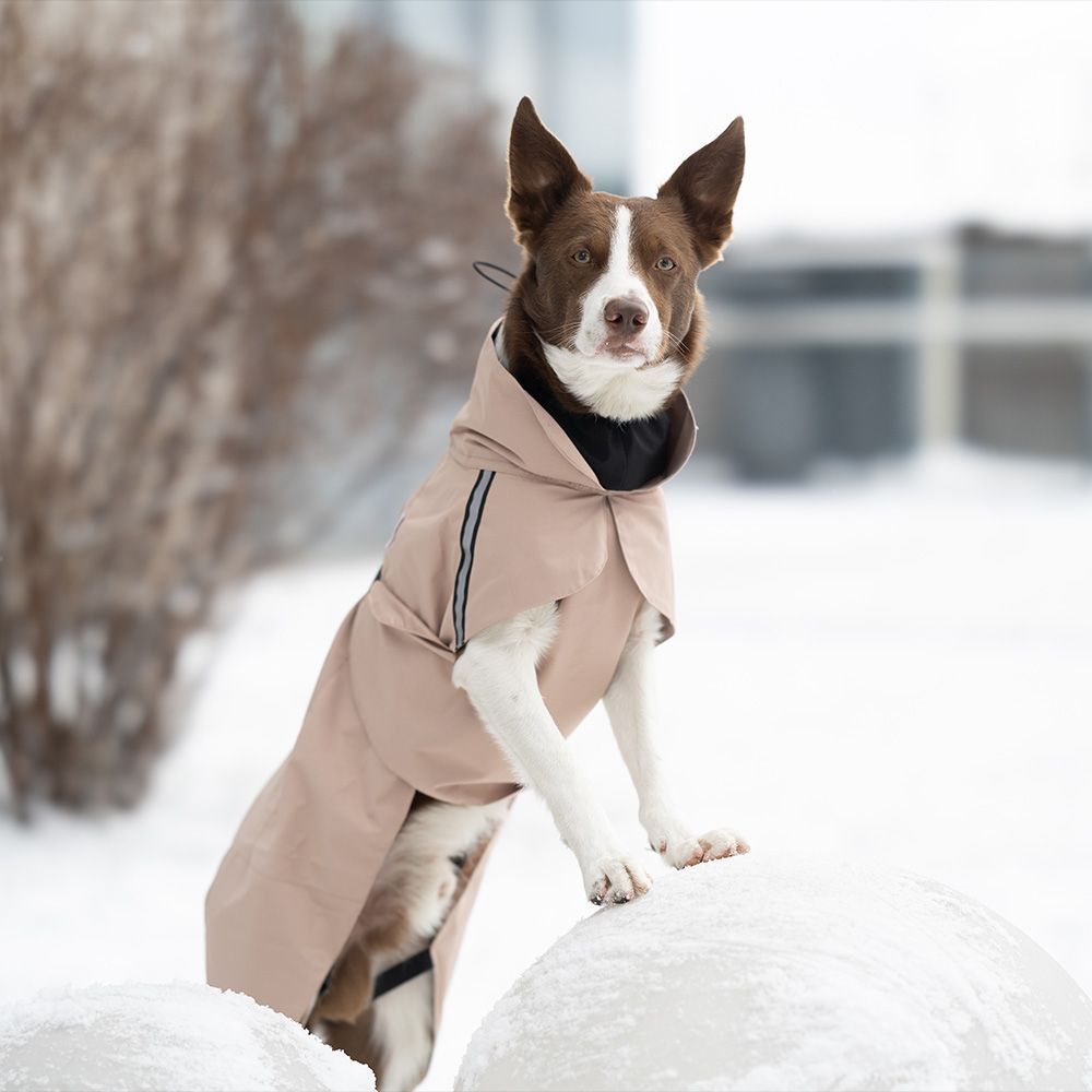 Noble Pet Rio дощовик для собак L