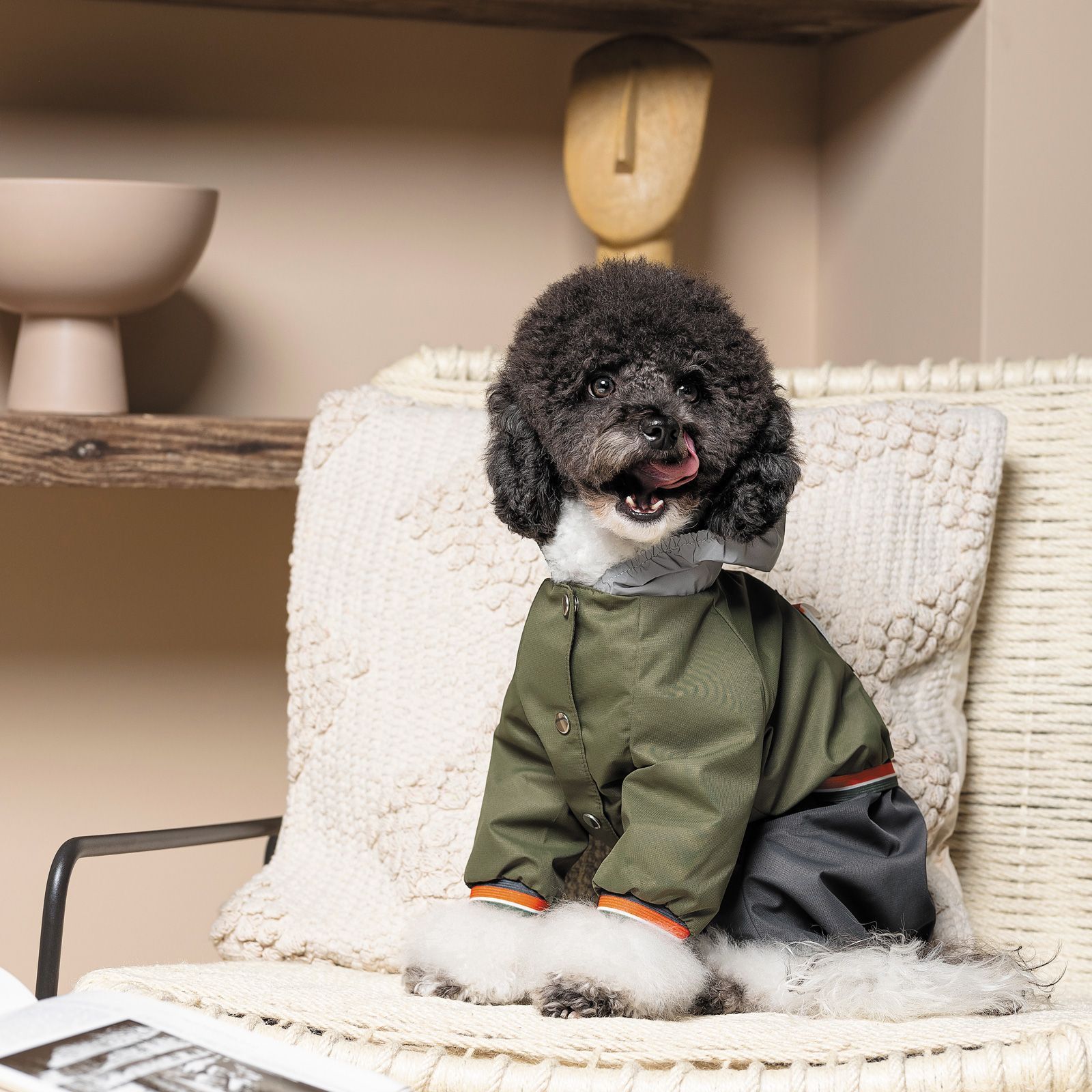 Pet Fashion Jimi дощовик для собак XS Pet Fashion Jimi дощовик для собак XS