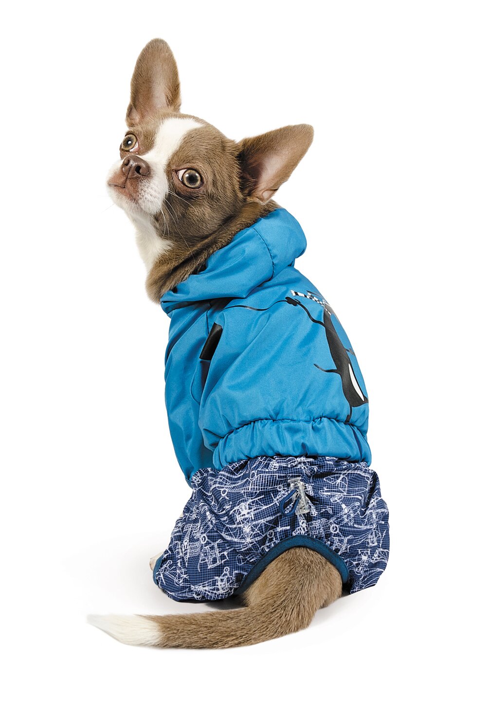 Дождевик для собак Pet Fashion «Клайд» XS (голубой)