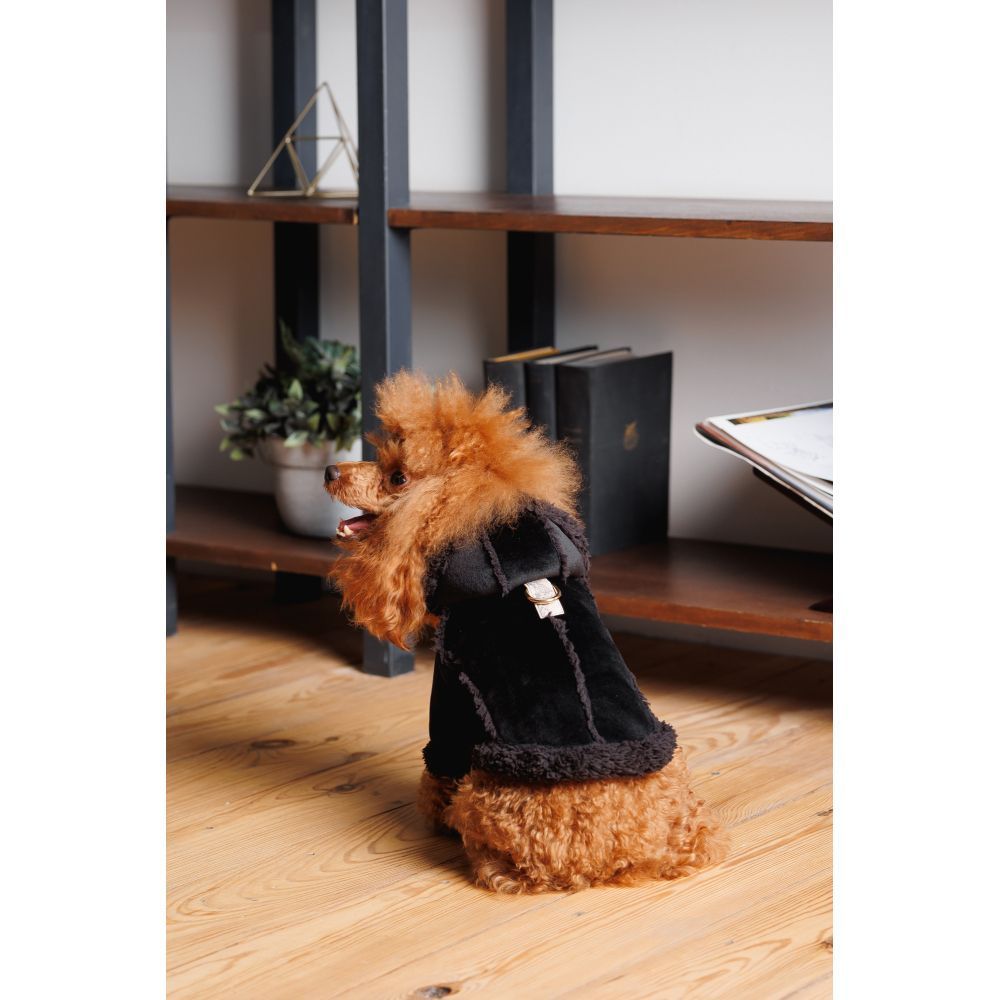 Дублянка для собак Pet Fashion Black XS Дублянка для собак Pet Fashion Black XS