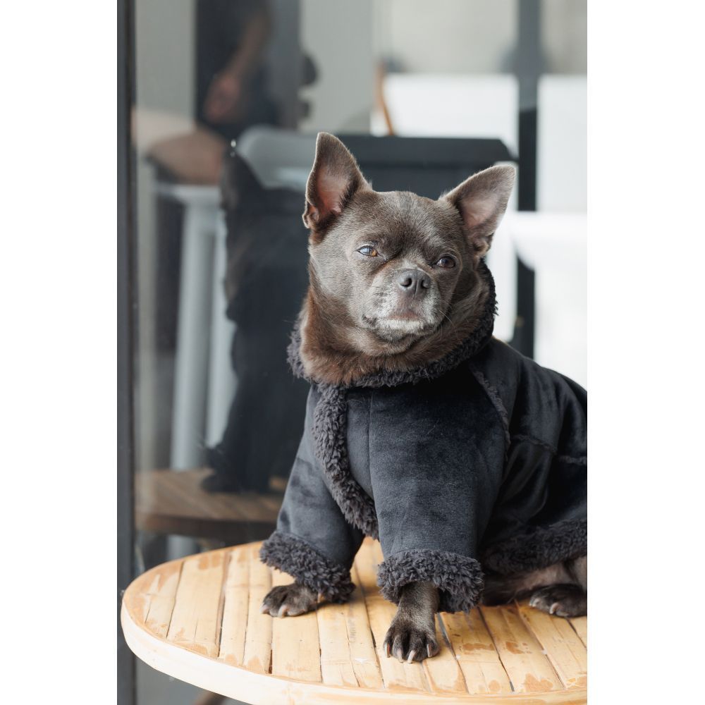 Дублянка для собак Pet Fashion Black XS Дублянка для собак Pet Fashion Black XS