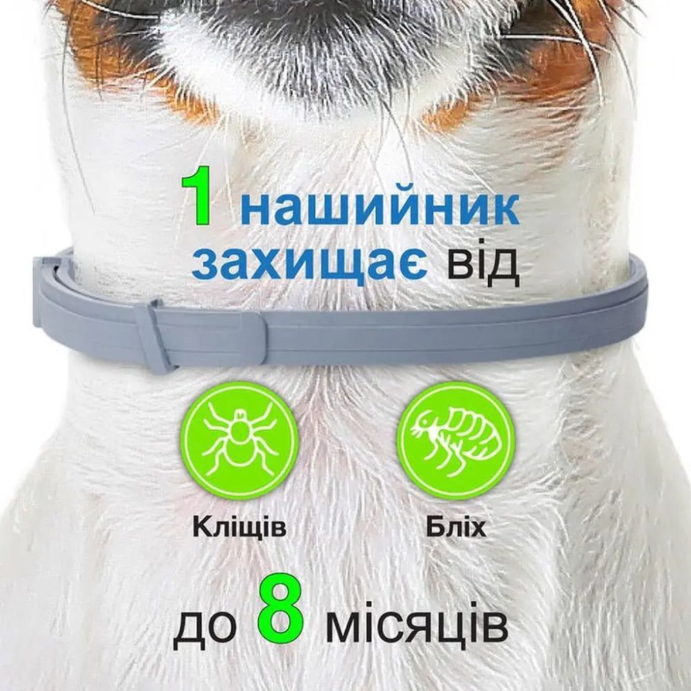 Elanco Bayer Foresto нашийник для собак 70 см - сірий
