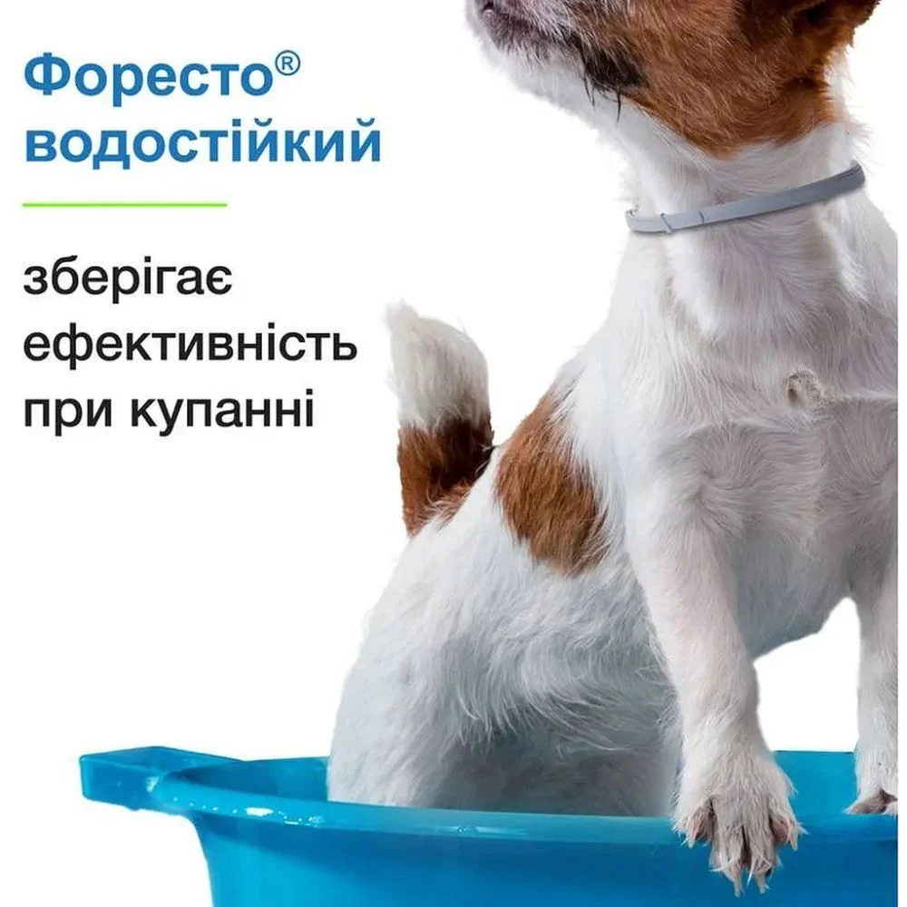 Elanco Bayer Foresto нашийник для собак 70 см - сірий