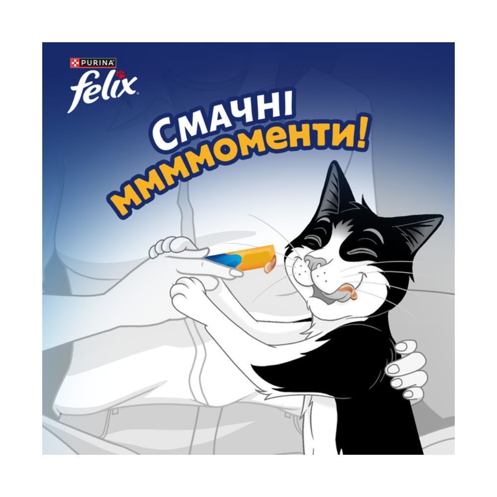 Ласощі для котів Felix Deli Moments 4 шт х 10 г - курка Ласощі для котів Felix Deli Moments 4 шт х 10 г - курка