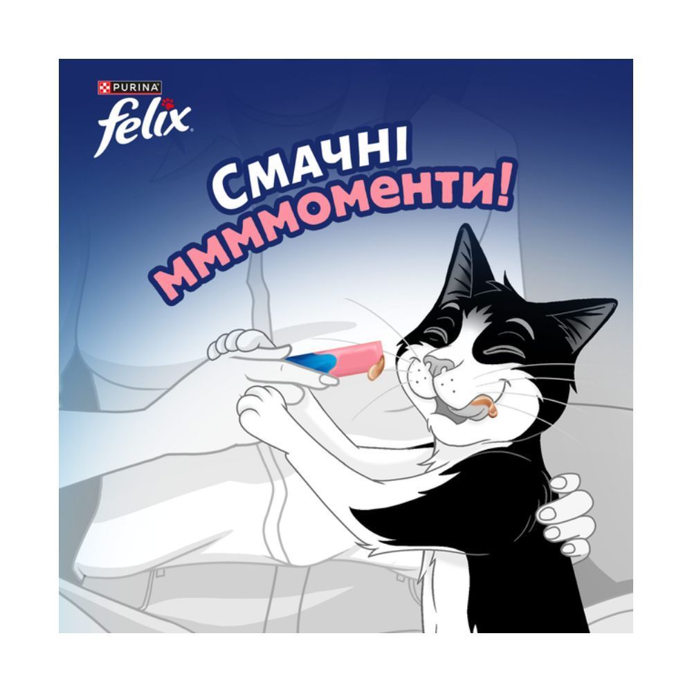 Ласощі для котів Felix Deli Moments 4 шт х 10 г - лосось Ласощі для котів Felix Deli Moments 4 шт х 10 г - лосось