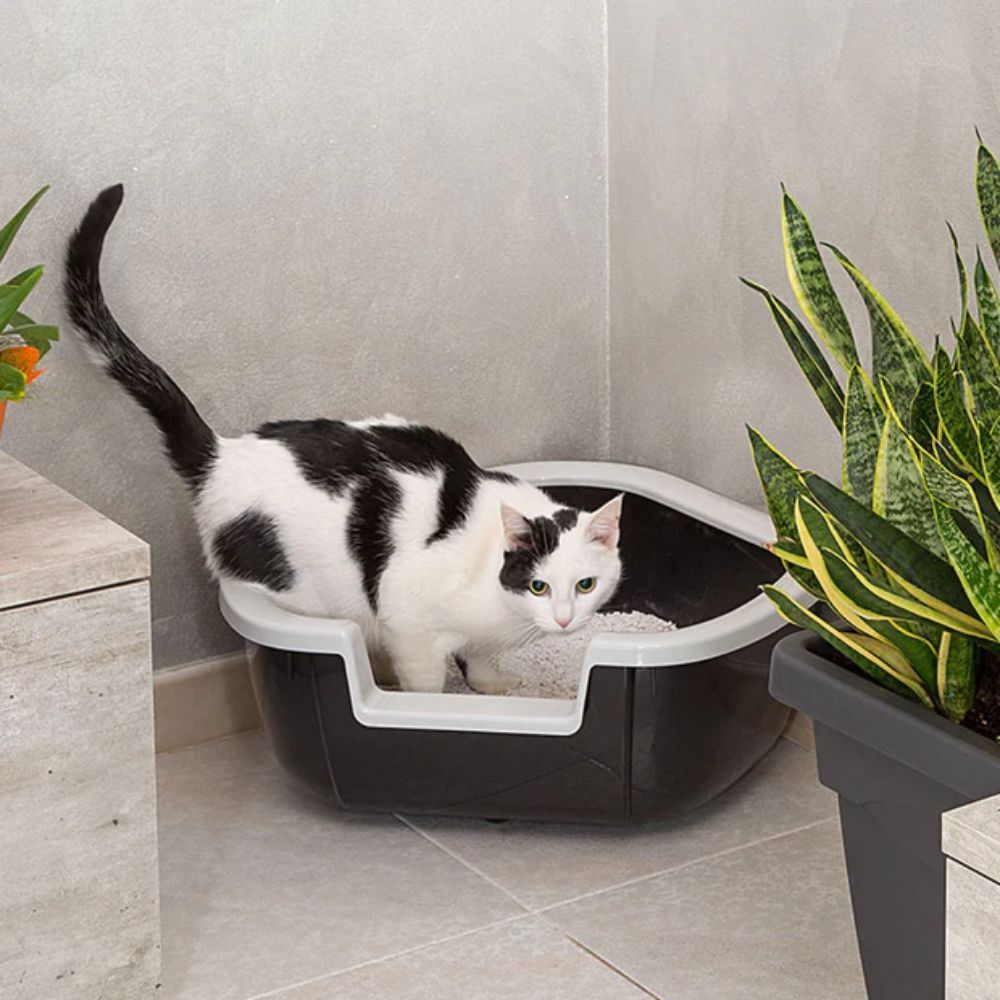 Ferplast Dama туалет для котів 57,5x51,5x22 см - сірий