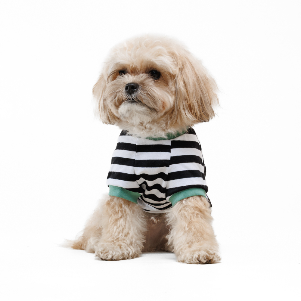 Футболка для собак Pet Fashion Breeze XXS - біло-чорний