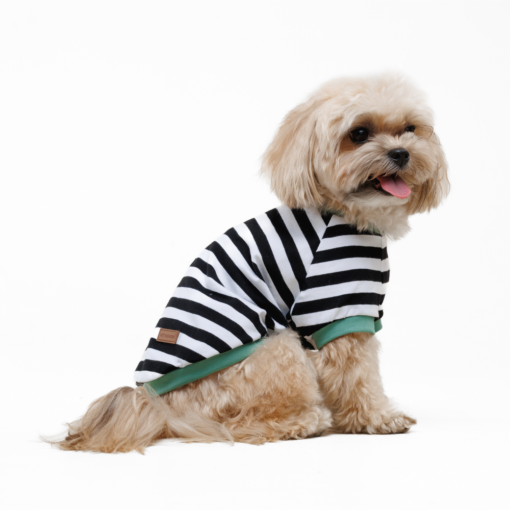 Футболка для собак Pet Fashion Breeze XXS - біло-чорний