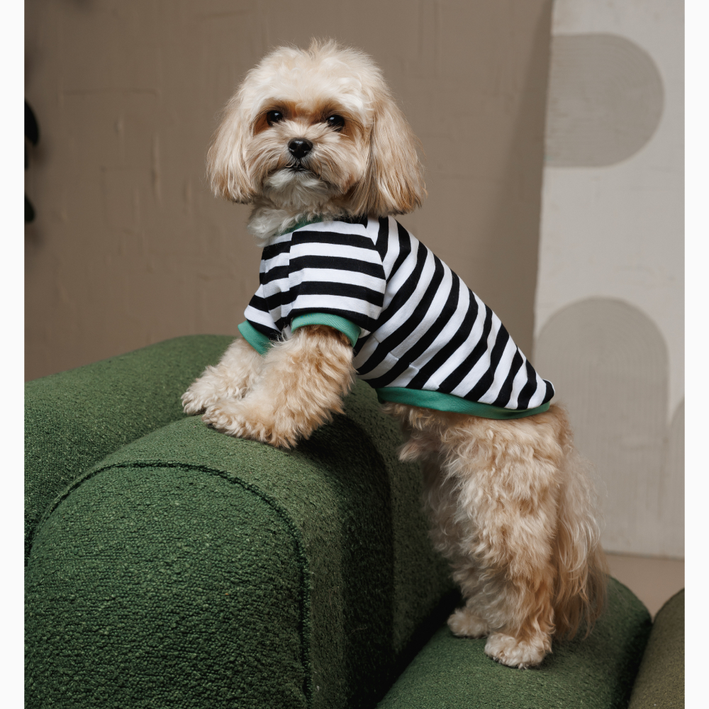 Футболка для собак Pet Fashion Breeze XXS - біло-чорний