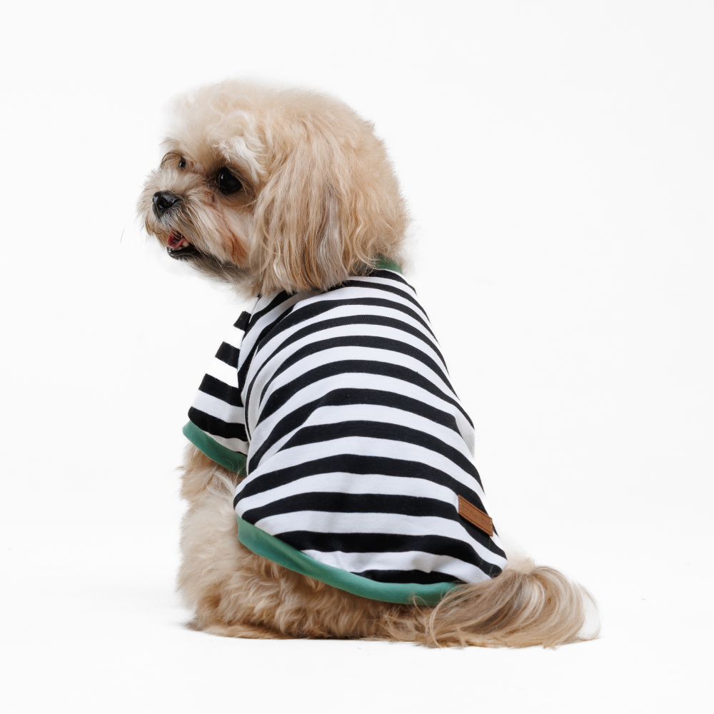 Футболка для собак Pet Fashion Breeze XXS - біло-чорний