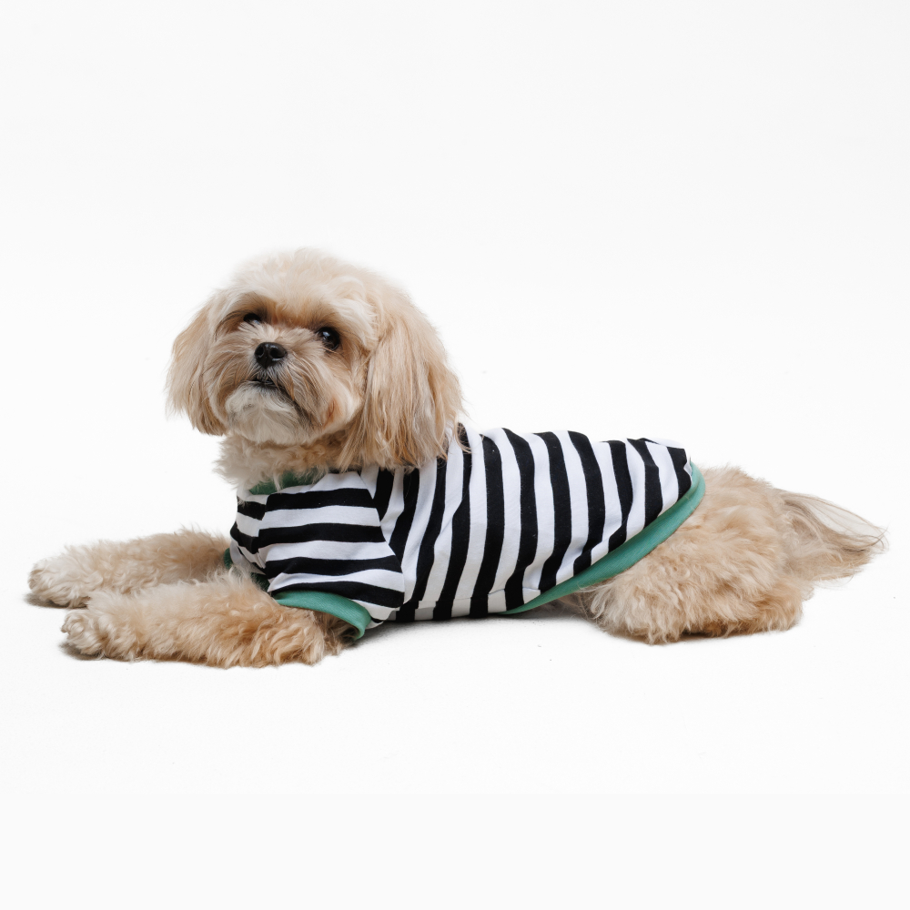 Футболка для собак Pet Fashion Breeze XXS - біло-чорний
