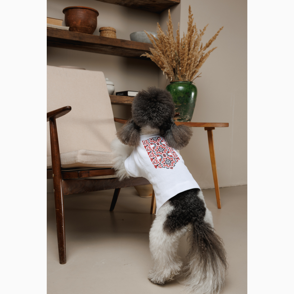 Футболка для собак Pet Fashion Ukraine XXS - білий