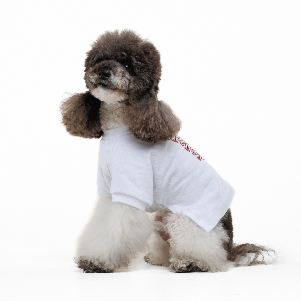Футболка для собак Pet Fashion Ukraine XXS - білий