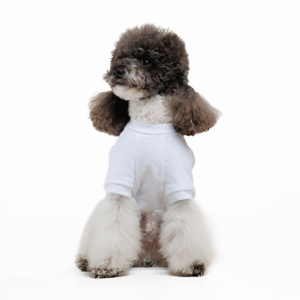 Футболка для собак Pet Fashion Ukraine XXS - білий