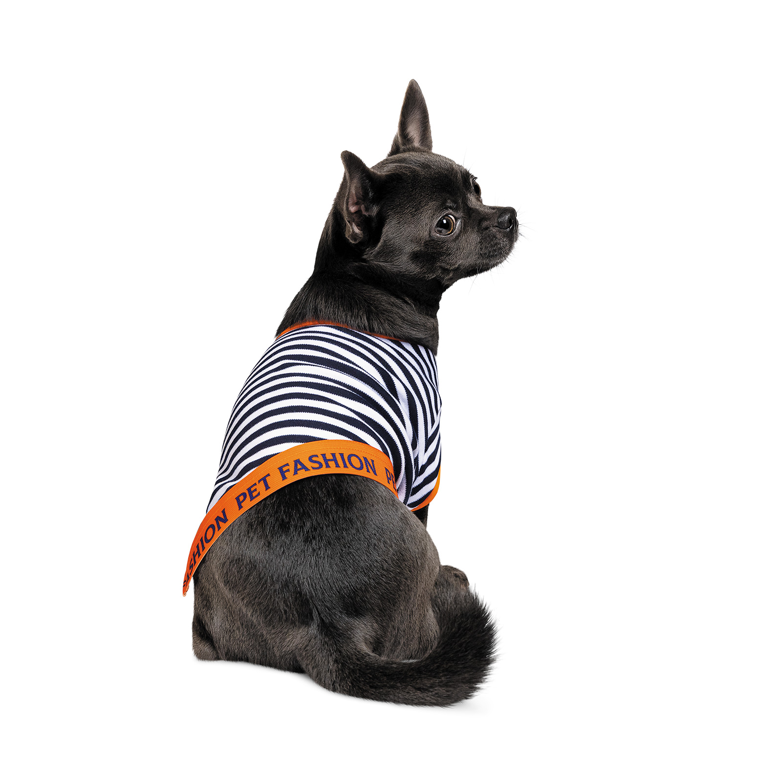 Футболка для собак Pet Fashion «Sailor» XS-2 (багатокольорова) Футболка для собак Pet Fashion «Sailor» XS-2 (багатокольорова)