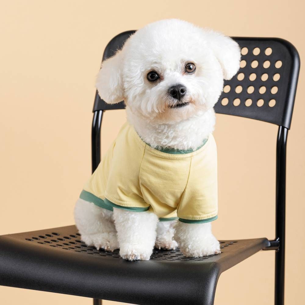 Pet Fashion Endy футболка для собак XS