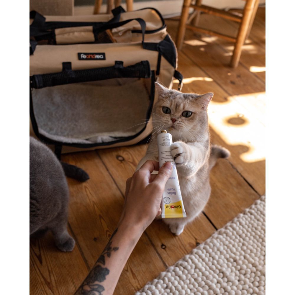 Лакомства для кошек GimCat Expert Line Relax 50 г Лакомства для кошек GimCat Expert Line Relax 50 г
