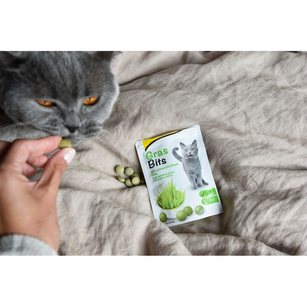 Лакомство для кошек GimCat Gras Bits 40 г - трава