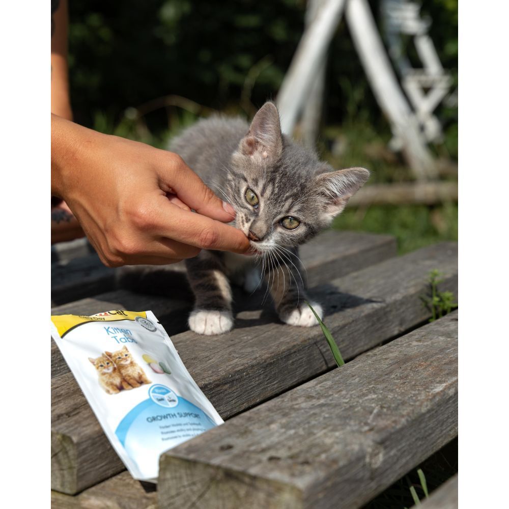 Лакомства для котят GimCat Kitten Tabs 40 г - ассорти Лакомства для котят GimCat Kitten Tabs 40 г - ассорти